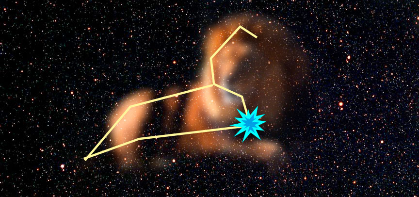 Leo and Regulus - Lion of Night