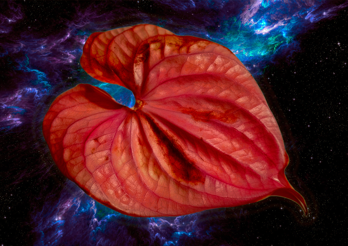 The power of a heart