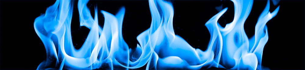 Blue Winter Roses - Jon Snow is Frozen Fire