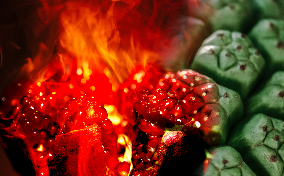 The Bloodstone Emperor