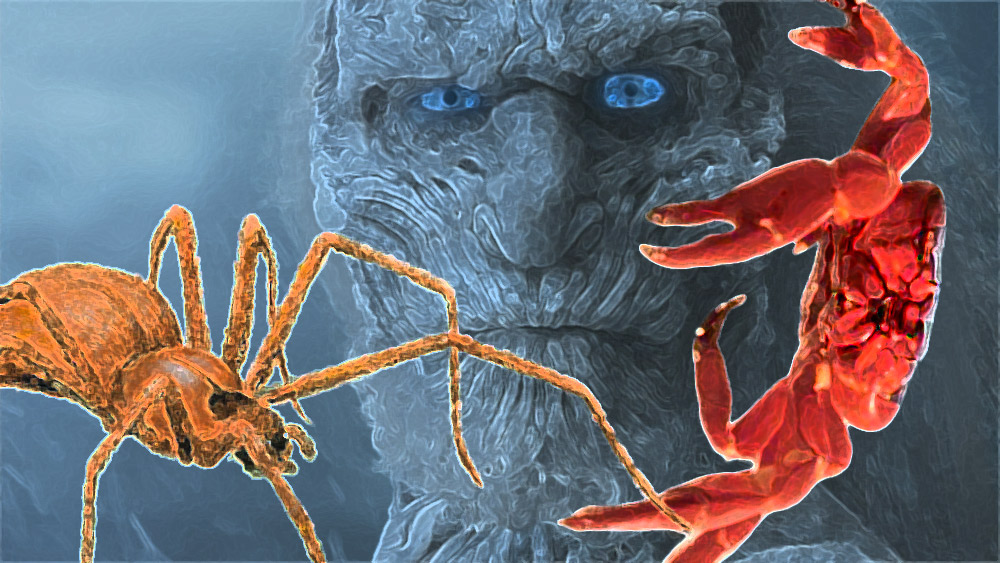 Red crabs and spider crabs and conquerors.