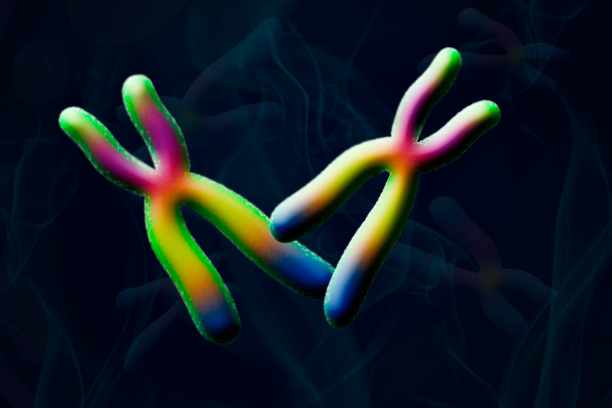 Genetics of Ice and Fire