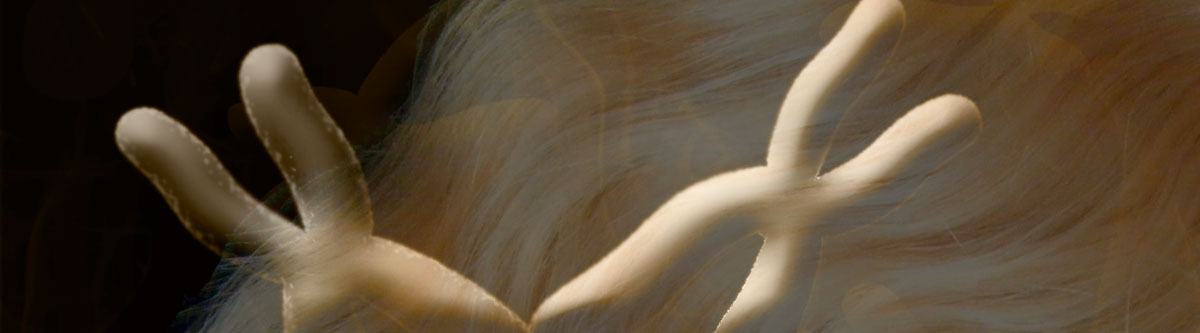 genes for golden hair