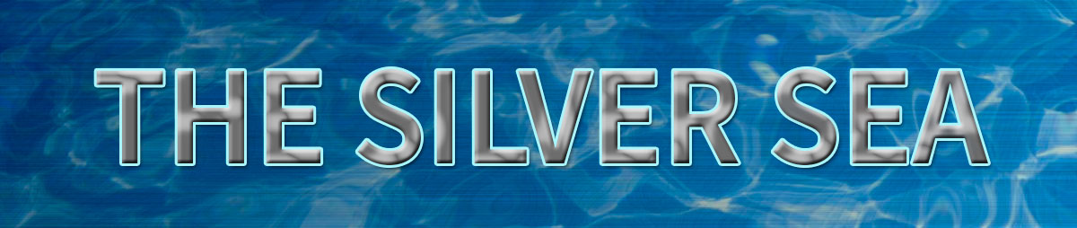 the silver in the hair