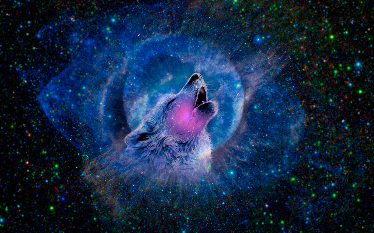 Warging, Skinchanging Unravelled