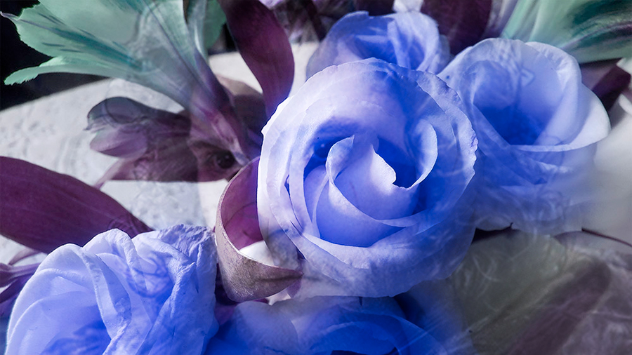 Frozen Fire - Jon Snow