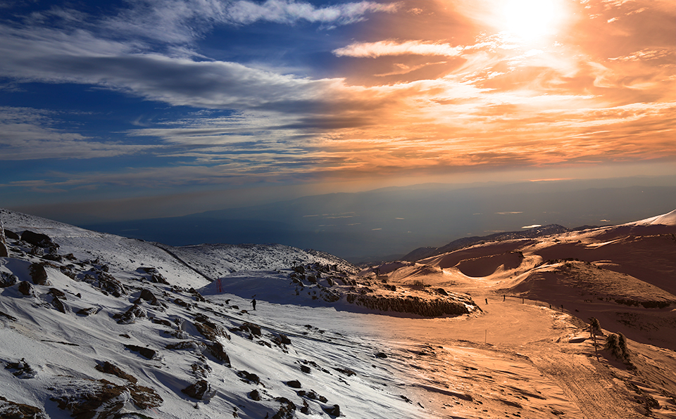 Its always summer under the sea