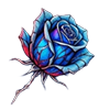 blue winter roses